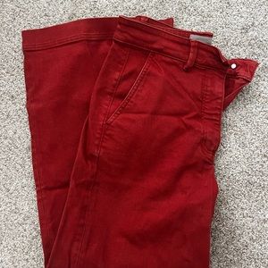 Everlane rust color pants, full length - women’s 6